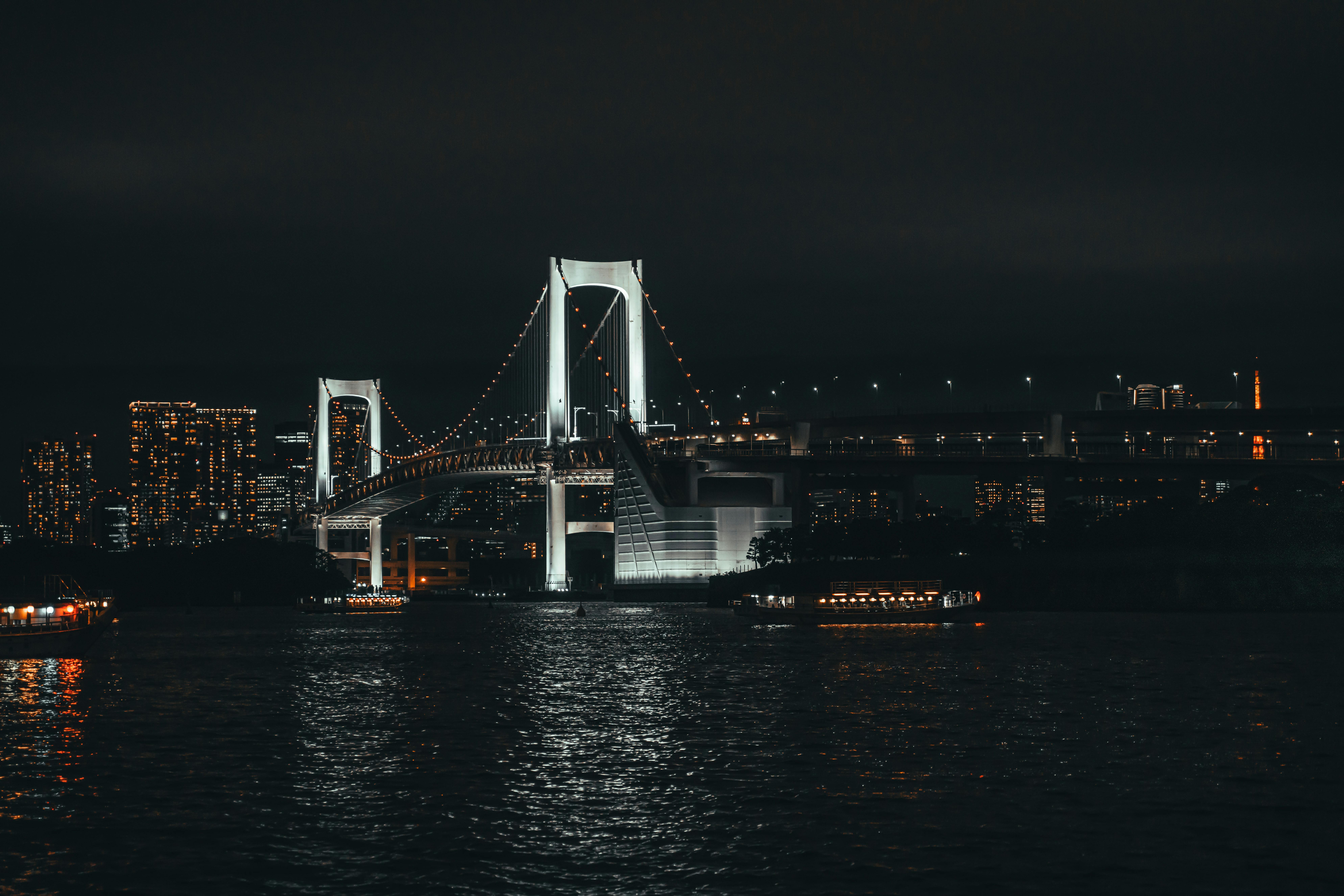 Rainbow Bridge lit at night from Odaiba waterfront