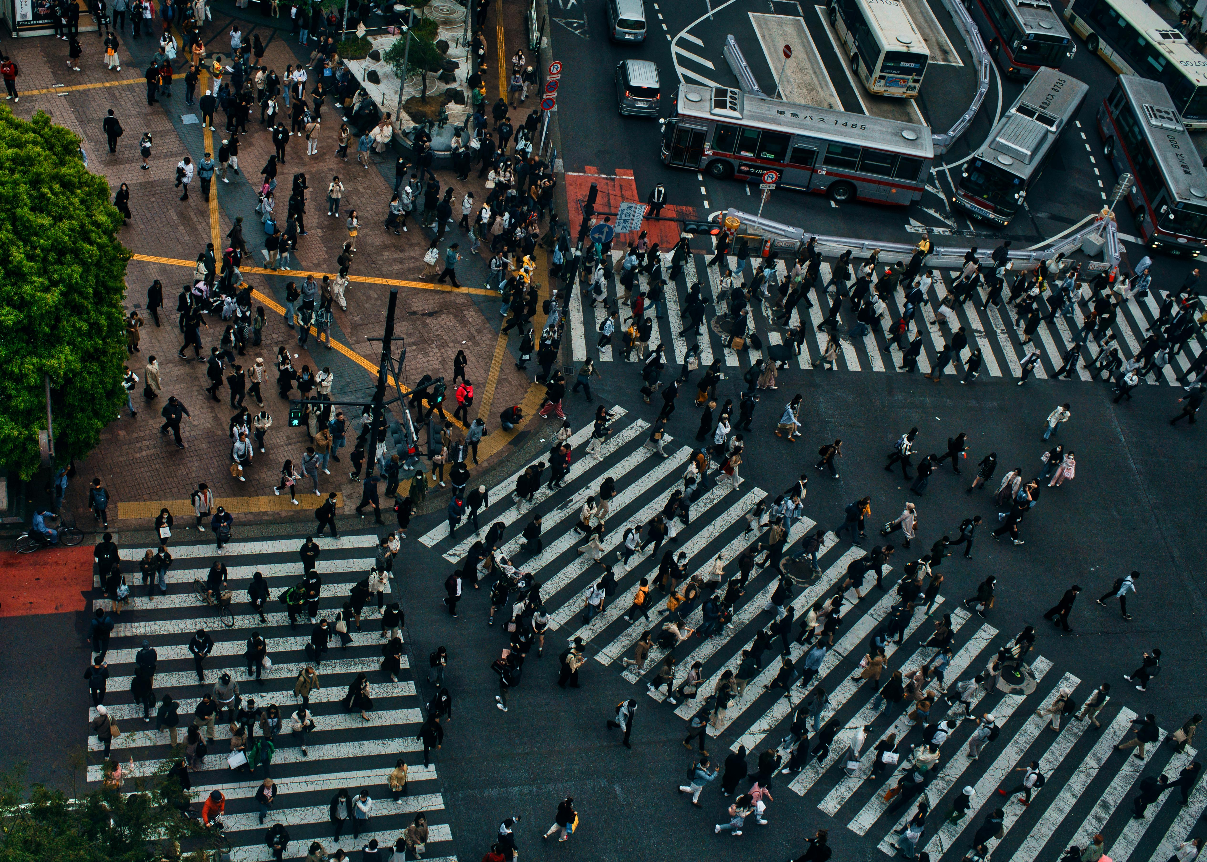 Shibuya Crossing at night with crowds and neon signs